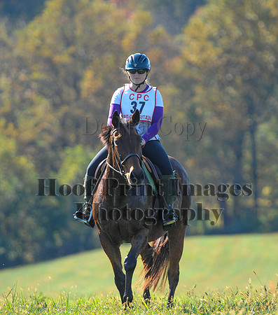 Cheshire(10-20-13)0570