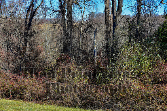 FairHillFallPC(11-30-24)0471
