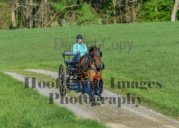 ChesapeakeSpring(4-27-25)0036