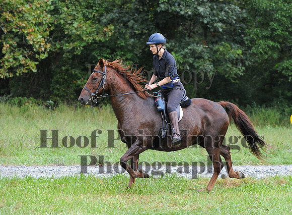 ChesapeakeCTR(9-20-14)0475