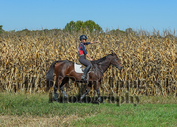 CheshirePonyClubPC(10-6-24)0201