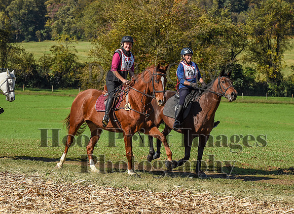 CheshirePC(10-18-20)0537