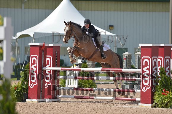BRSa(5-17-14)HChAdJ0116