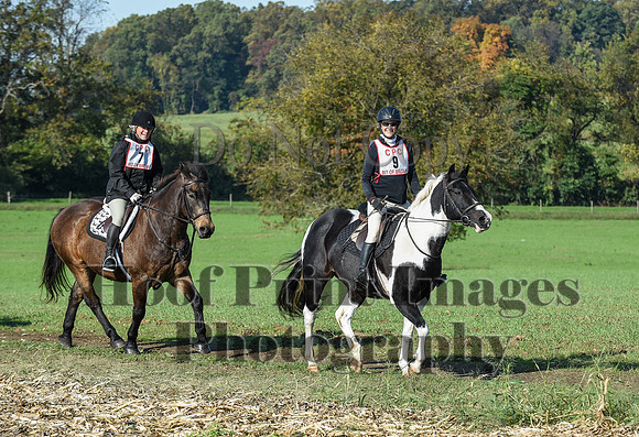 CheshirePC(10-18-20)0094