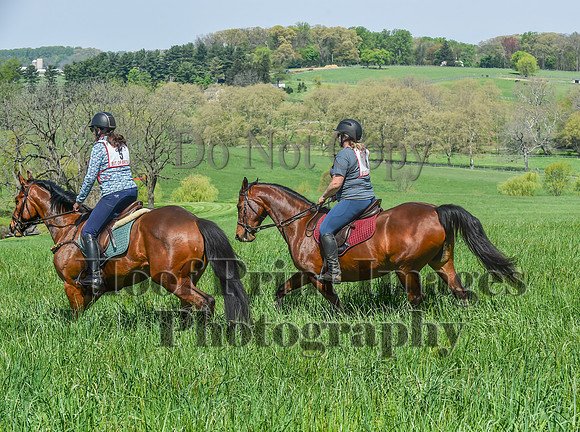 CheshireSpringPC1(4-28-24)0065