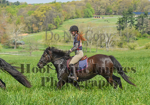 CheshireSpringPC1(4-28-24)0139