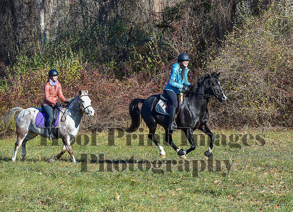 FairHillFallPC(11-30-24)0245