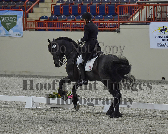 CWdressageII(8-21-16)0568