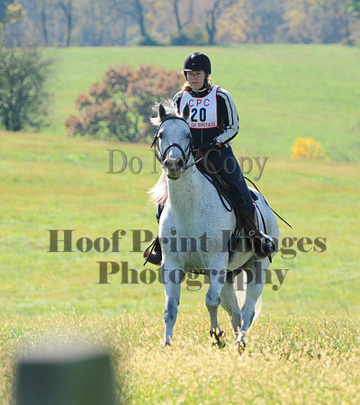 Cheshire(10-20-13)0381
