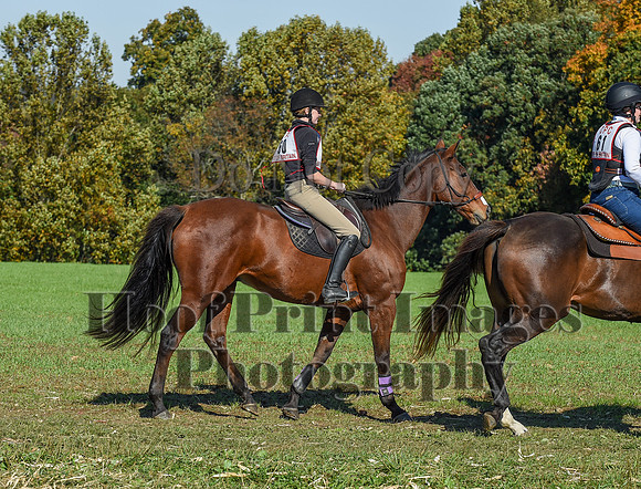 CheshirePC(10-18-20)0382