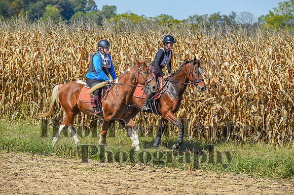 CheshirePonyClubPC(10-6-24)0562