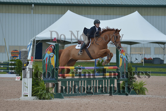 BRSa(5-17-14)HChAdJ0147