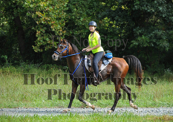 ChesapeakeCTR(9-20-14)0416