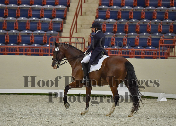 CWdressageI(8-20-16)1069