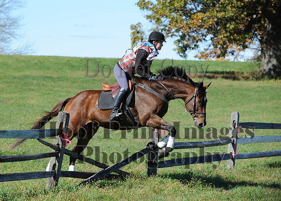 Cheshire(10-19-14)0118