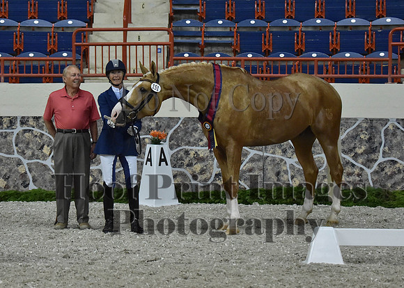 CWdressageII(8-21-16)1441