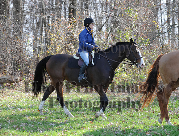 AndrewsBr(11-9-14)0260