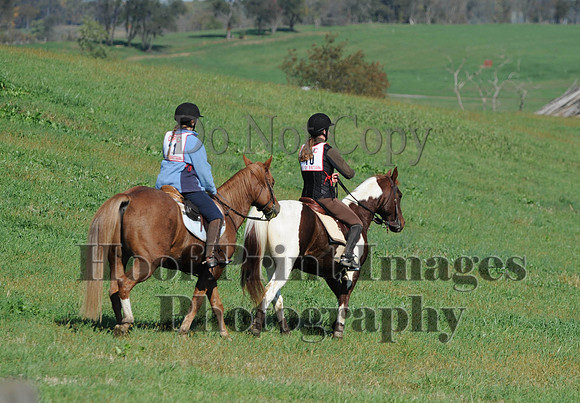 Cheshire(10-20-13)0214