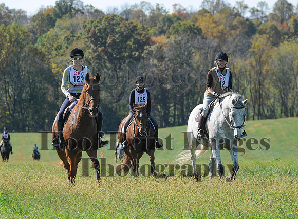 Cheshire(10-20-13)0240