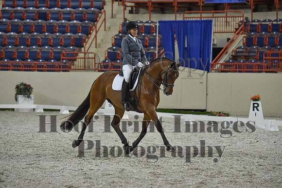 CWdressageI(8-20-16)1160
