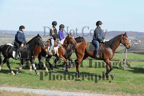 AndrewsBr(11-9-14)0107
