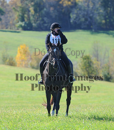 Cheshire(10-19-14)0092