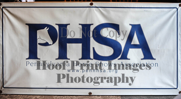 PHSA(1-17-15)0306
