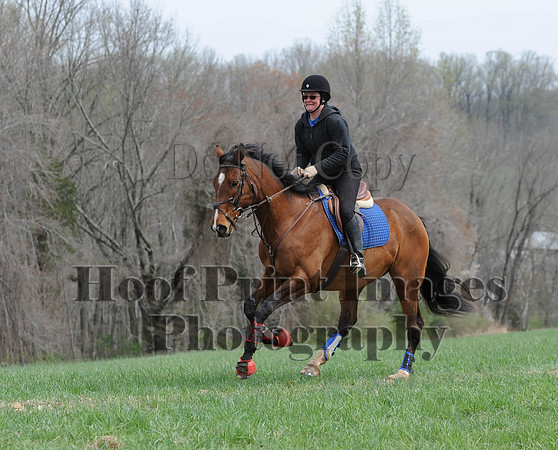 FairhillPC(4-18-14)0121