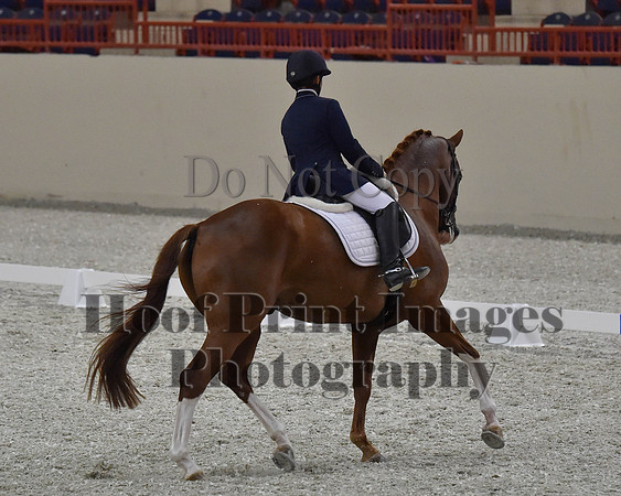 CWdressageII(8-21-16)2017