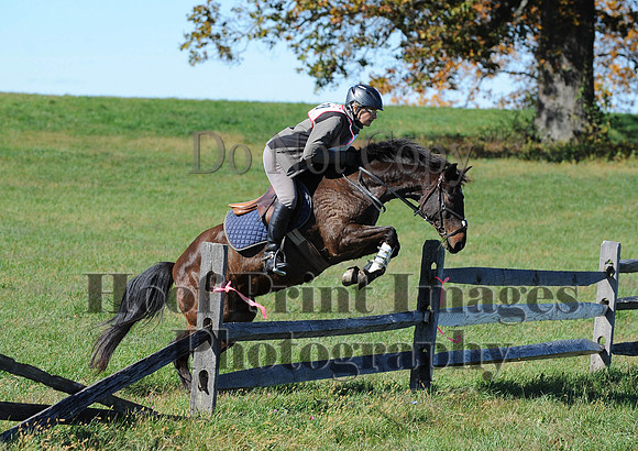 Cheshire(10-19-14)0217
