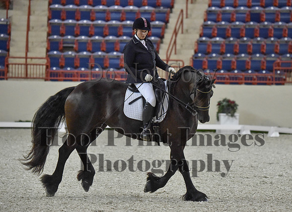 CWdressageI(8-20-16)0894