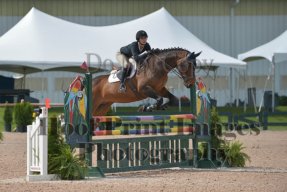 BRSa(5-17-14)HChAdJ0154