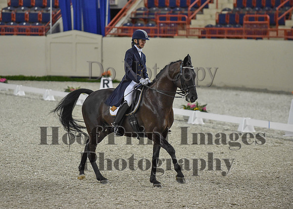 CWdressageI(8-20-16)1582