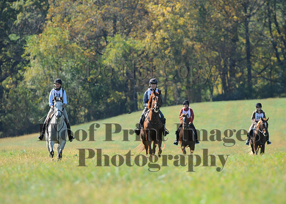 Cheshire(10-20-13)0282