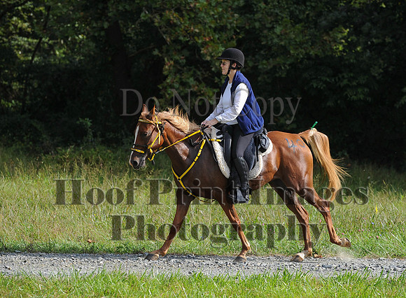 ChesapeakeCTR(9-20-14)0247