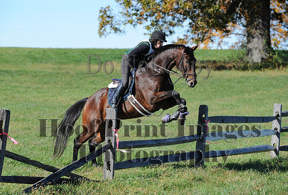 Cheshire(10-19-14)0208