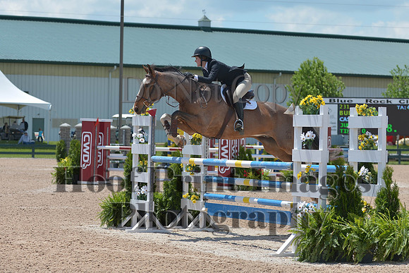 BRSa(5-17-14)HChAdJ0282