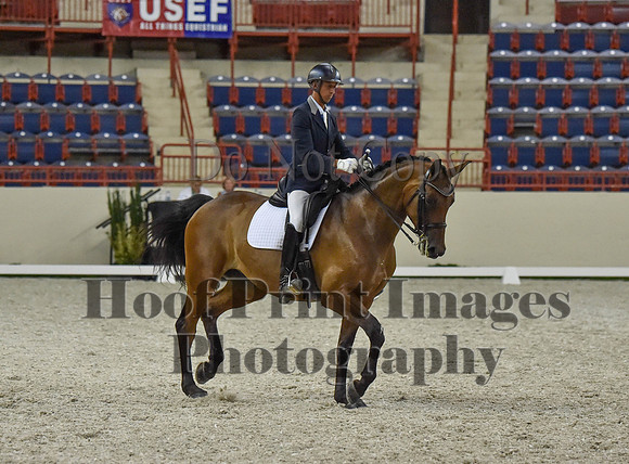 CWdressageI(8-20-16)1346