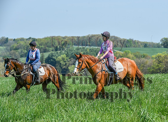CheshireSpringPC1(4-28-24)0038
