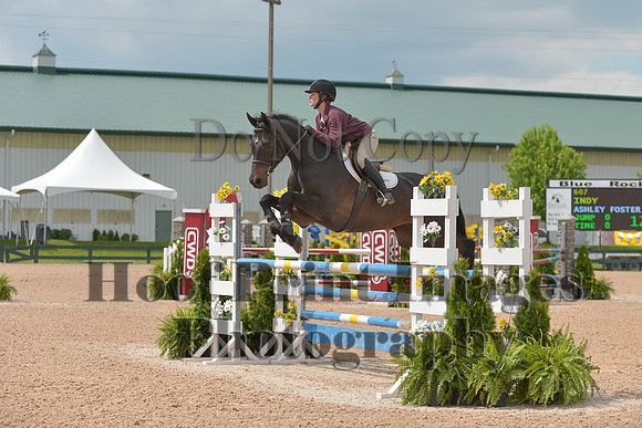BRSa(5-17-14)HChAdJ0181