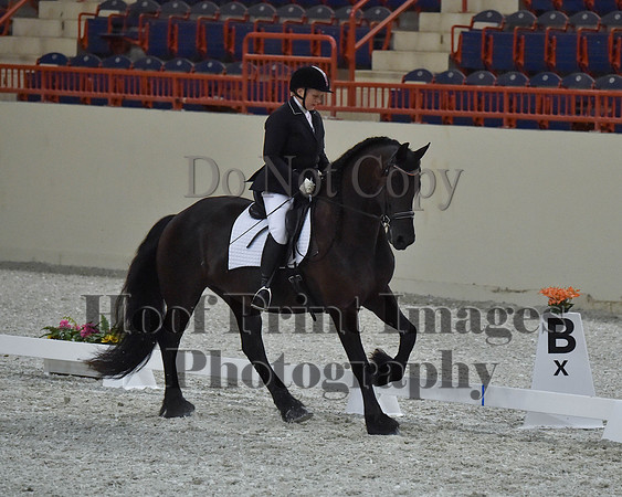 CWdressageII(8-21-16)2194