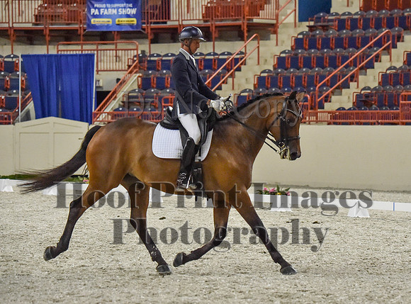 CWdressageI(8-20-16)1348