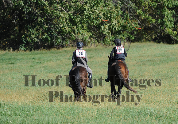 Cheshire(10-19-14)0222