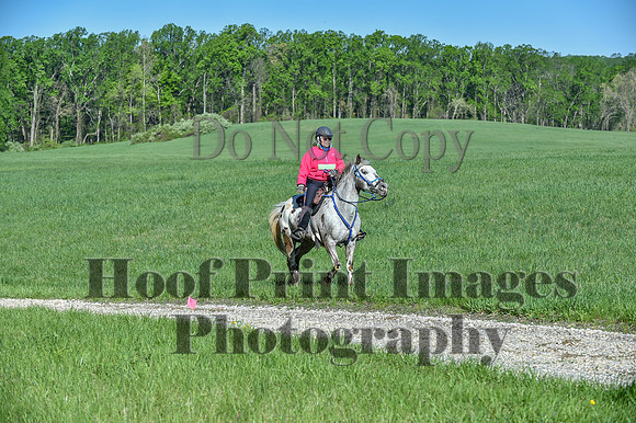 ChesapeakeSpring(4-27-25)0291