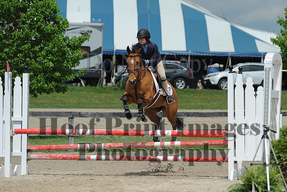 BRSa(5-17-14)0.8mJCl0069