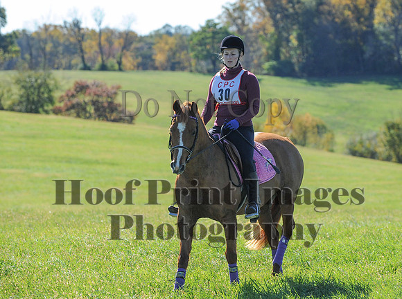 Cheshire(10-19-14)0299