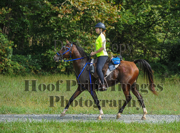 ChesapeakeCTR(9-20-14)0420