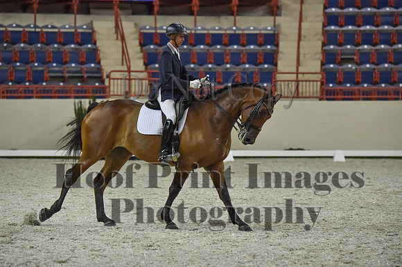 CWdressageI(8-20-16)1375