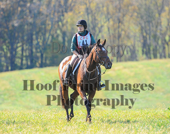 Cheshire(10-20-13)0592