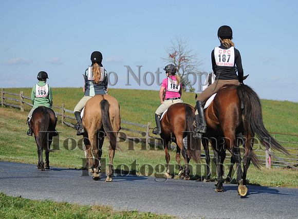 Cheshire(10-20-13)0590